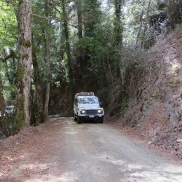 PRIVATE GUIDED TOURS