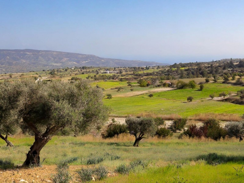 Paphos, Goudi