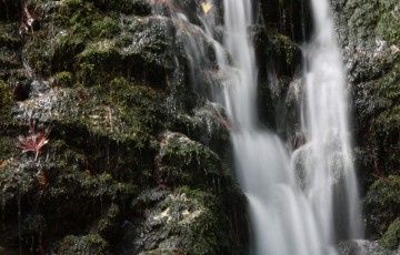 Private Guides Safari Tours