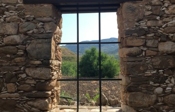 Private Guides Safari Tours