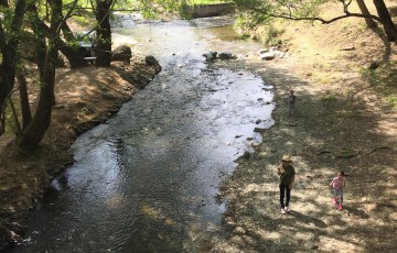 Private Guides Safari Tours