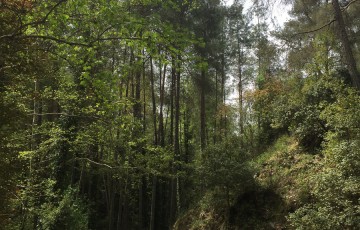 Private Guides Safari Tours