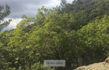 Private Guides Safari Tours