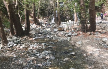 Private Guides Safari Tours