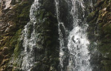 Private Guides Safari Tours