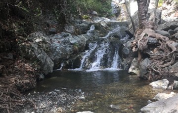 Private Guides Safari Tours