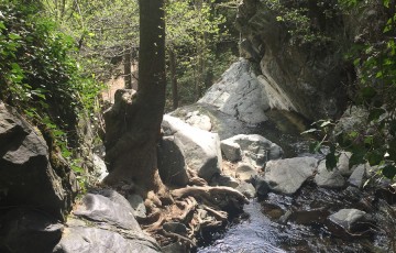 Private Guides Safari Tours