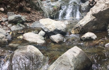 Private Guides Safari Tours