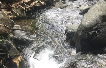 Private Guides Safari Tours