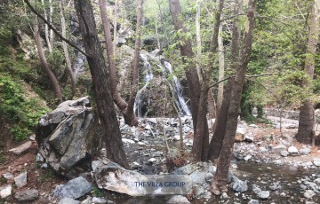 Private Guides Safari Tours