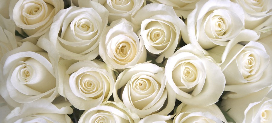 Wedding Floral Décor