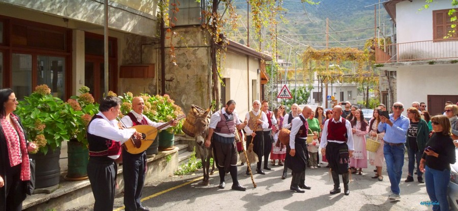 Zivania festival coming up in Alona village
