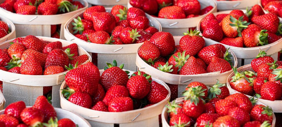 Cyprus Strawberry Festival 2023 - Deryneia getting ready