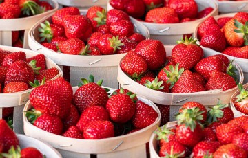 Cyprus Strawberry Festival 2023 - Deryneia getting ready