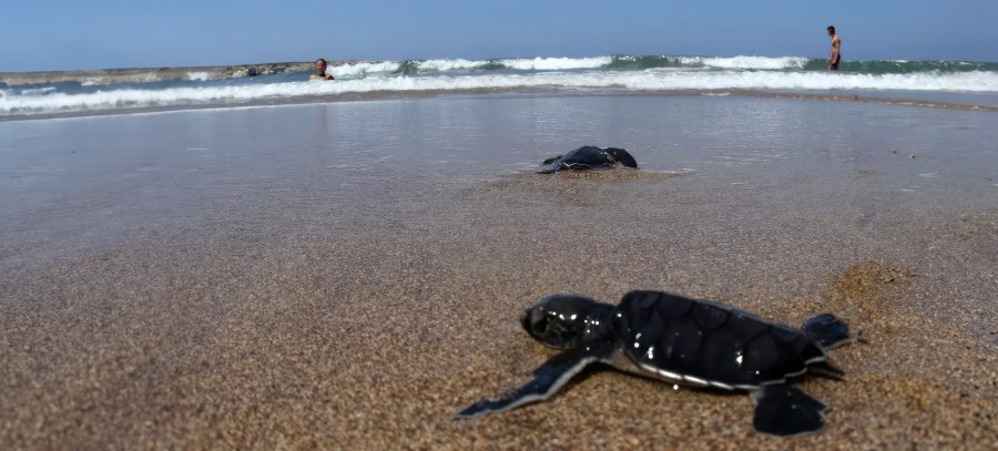 Initiatives in Paphos, Cyprus aim to raise awareness of environmental issues