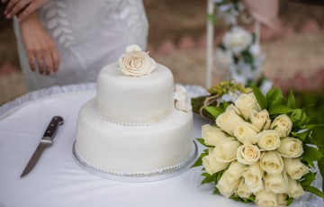 Janice & Lewis' Wedding