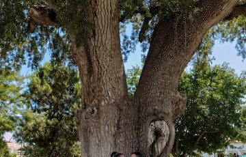 George & Christina's Wedding Photo-Shoot