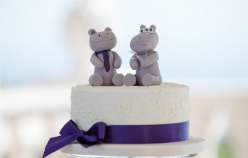 Helen & Alun's Wedding at Villa 413598