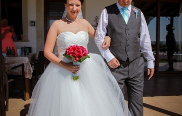 Rebecca & Daniel's Beach front Wedding at Villa 382 in Argaka