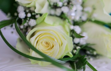Rob & Kassie's Wedding at the Louis Ledra Beach Hotel
