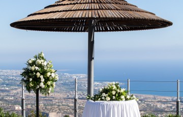 Sarah & Gareth's Wedding at Villa 14709 in Pegia