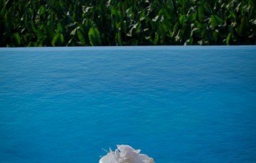 Scott & Gail's Wedding at Villa 58889 in Coral Bay