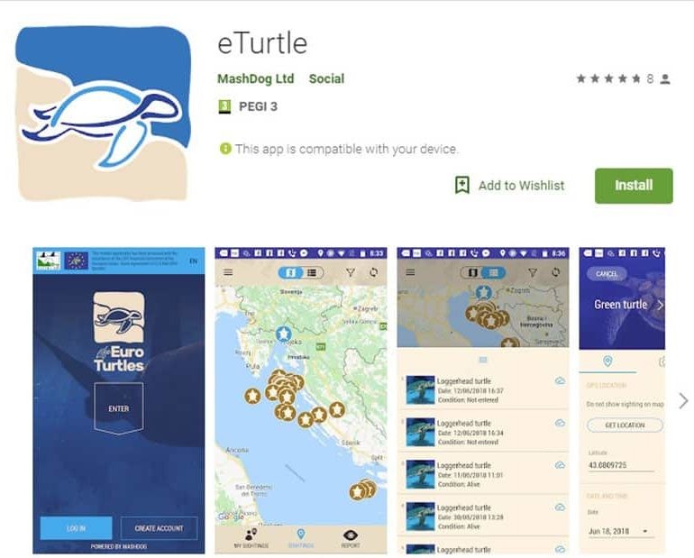 Public encouraged to download eTurtle app