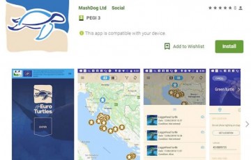 Public encouraged to download eTurtle app