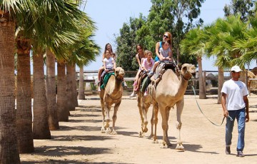 Camel Park, Larnaca