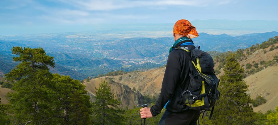 Walking Festival 2019