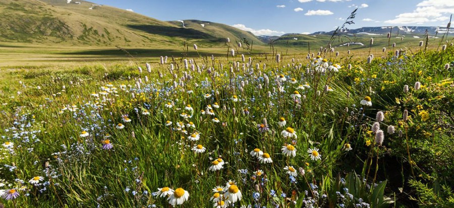 Akrotiri hosts conference on wildlife on Cyprus 