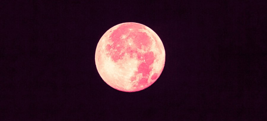 Pink Moon to take place on Friday