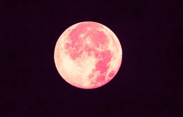 Pink Moon to take place on Friday