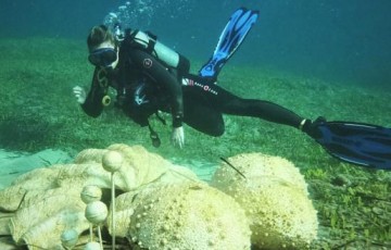 Underwater sculpture composition of supernatural size shells in Paphos