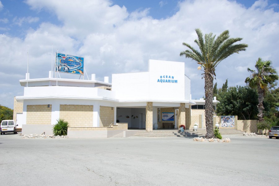 Protaras Ocean Aquarium - great day out!