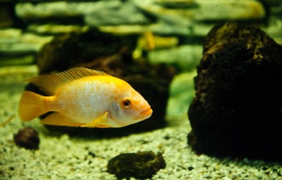 Protaras Ocean Aquarium - great day out!