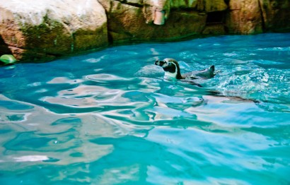 Protaras Ocean Aquarium - great day out!
