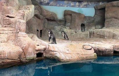 Protaras Ocean Aquarium - great day out!