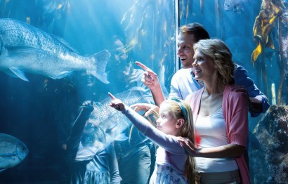 Protaras Ocean Aquarium - great day out!