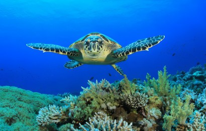 Protaras Ocean Aquarium - great day out!