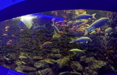 Protaras Ocean Aquarium - great day out!