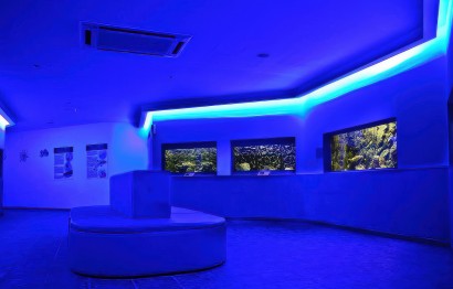 Protaras Ocean Aquarium - great day out!