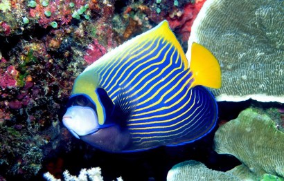 Protaras Ocean Aquarium - great day out!