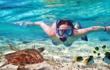 Scuba diving in Paphos