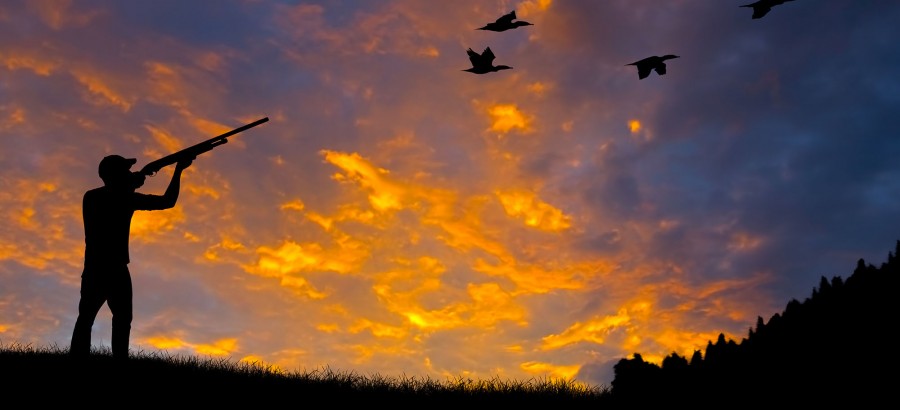 Hunting in Cyprus