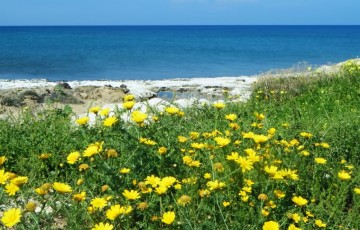 Cyprus Flora & Fauna