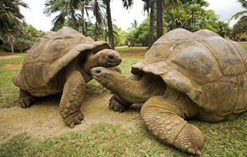 Paphos Zoo