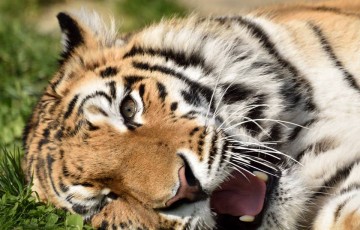 Paphos Zoo