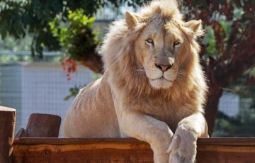Paphos Zoo