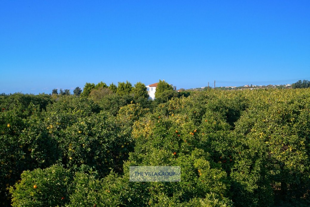 Surrounding countryside